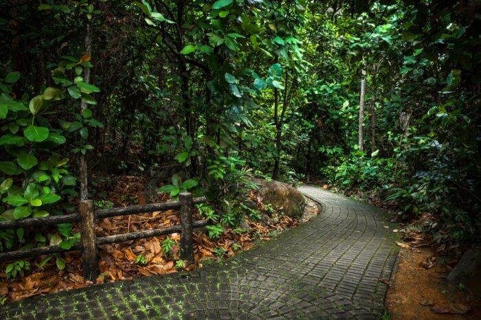 Bukit Batok Nature Park courtesy Traveltriangle.jpeg