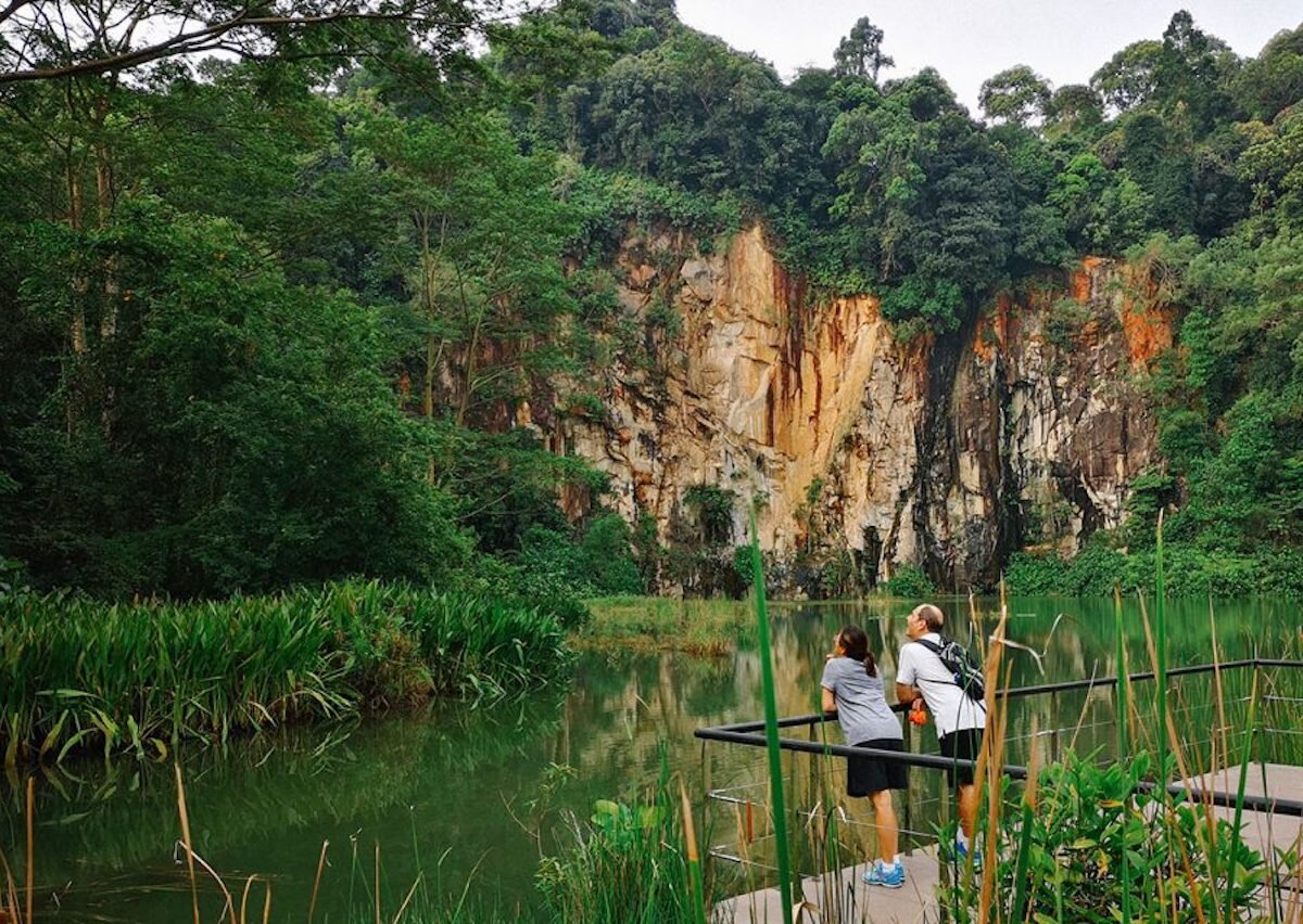 Bukit Timah Nature Reserve courtesy SIlverkris.jpg
