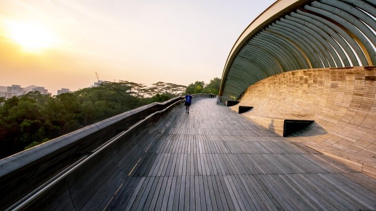 Henderson Waves courtesy VisitSingapore.jpg