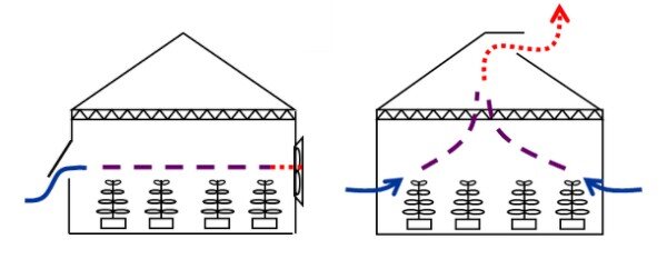 Graphic showing how the convection process work through air well ventilation courtesy Hortidaily
